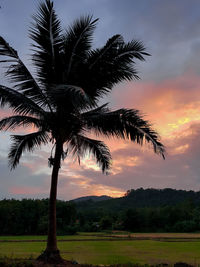 Silhouette palm trees against sky during sunset