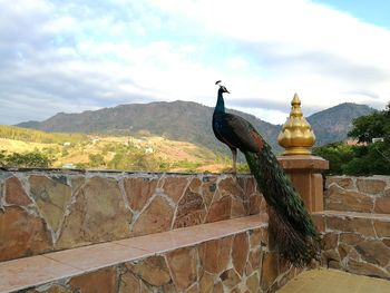 Statue in temple against cloudy sky