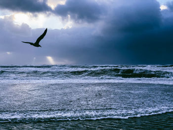 Seagull flying over sea against sky