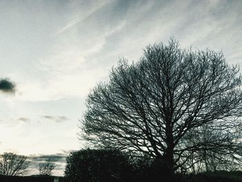 Low angle view of bare trees against sky