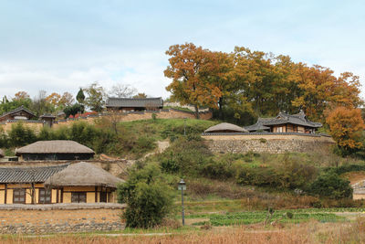 Houses by trees against sky