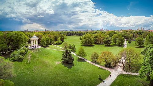 High angle view of trees on field against sky