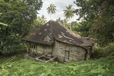 Abandoned house amidst trees on field