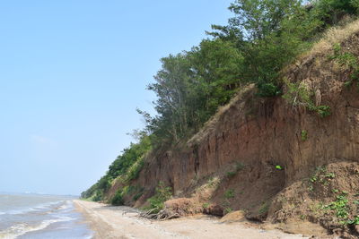 Scenic view of beach against clear sky