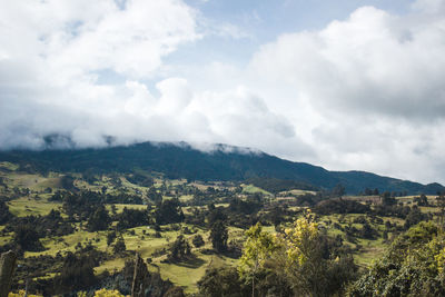 Scenic view of landscape against sky