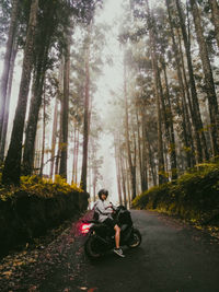 Man riding bicycle on road amidst trees in forest