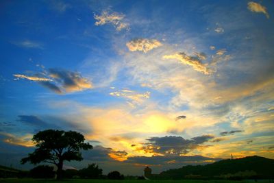 Low angle view of silhouette trees against sky at sunset