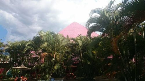 Palm trees against cloudy sky