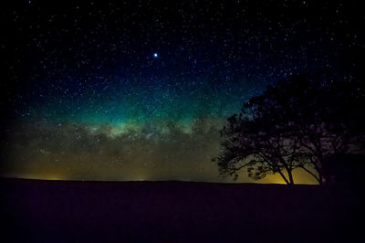 Low angle view of silhouette trees against sky at night