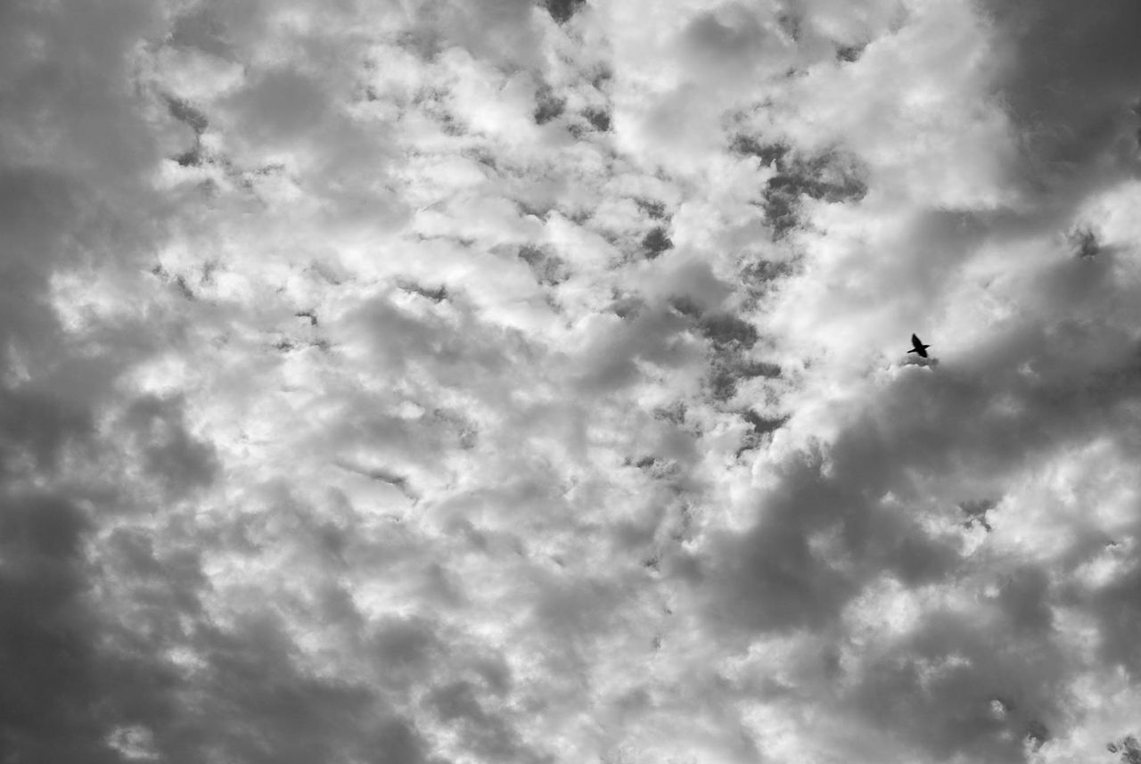 LOW ANGLE VIEW OF SILHOUETTE AIRPLANE FLYING AGAINST CLOUDY SKY