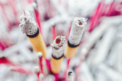 Close-up of snow on wood