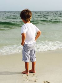 Rear view of man standing on beach