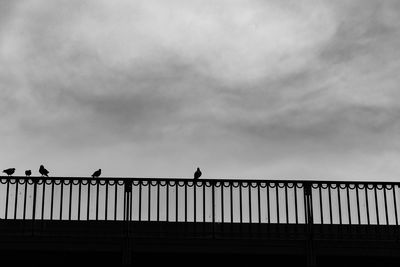 Low angle view of birds perching on railing against sky