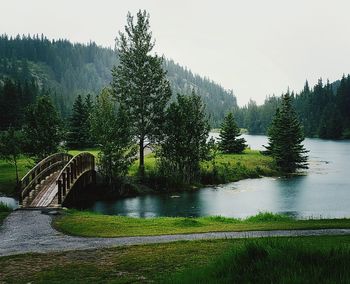 Scenic view of waterfall in forest against sky