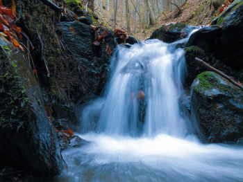 Scenic view of waterfall in forest