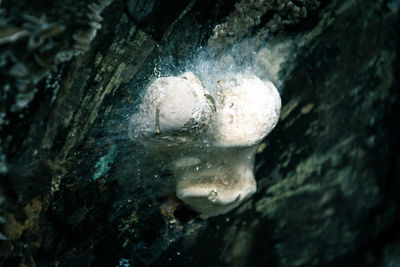 Close-up of water over white background