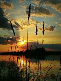 Scenic view of sea at sunset