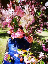 Woman with pink flowers blooming on tree