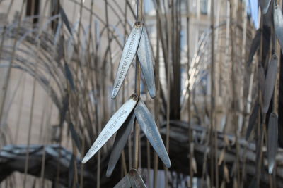 Close-up of metal hanging outside building