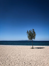 Scenic view of sea against clear blue sky