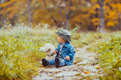 Portrait of dog on landscape during autumn