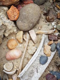 High angle view of food on rock