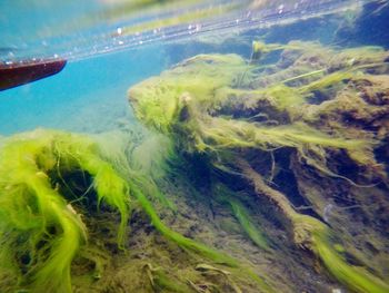 Close-up of water in sea