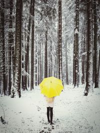 Rear view of person on snow covered land