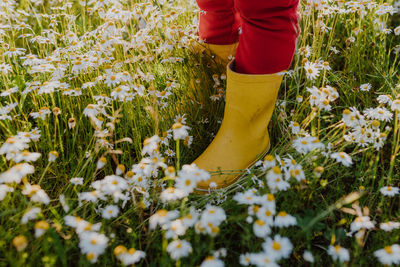 Yellow rubber boots on flowered field