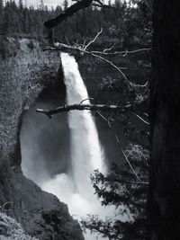 Low angle view of waterfall in forest