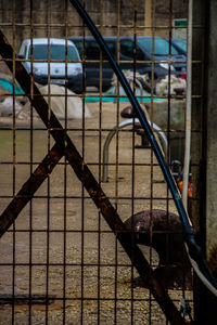 Close-up of metal fence by railing