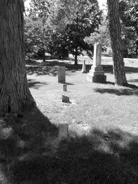 Tombstones in cemetery