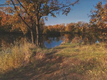 Scenic view of lake in forest during autumn