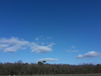 Trees on landscape against blue sky