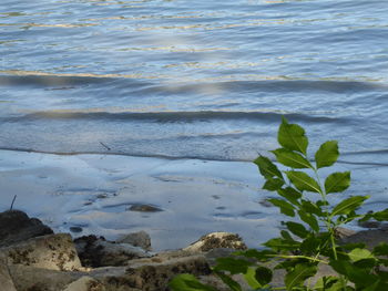 High angle view of beach