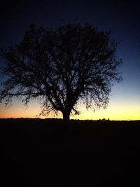 Silhouette of trees on landscape at sunset