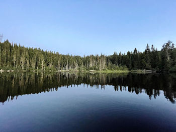 Scenic view of lake against clear blue sky