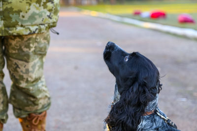 Border dog portrait close up with a soldier at the site. ukraine border warriors