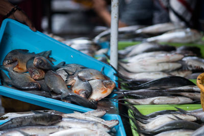 Fresh fish sold in the traditional market in surabaya, indonesia.