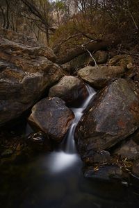 Stream flowing through rocks in forest