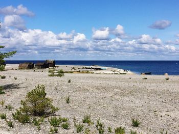 Scenic view of beach against sky