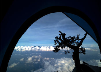 Low angle view of silhouette trees against sky seen through window