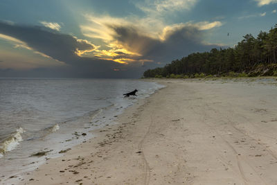 View of beach against sky during sunset