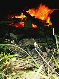 Fire in the dark