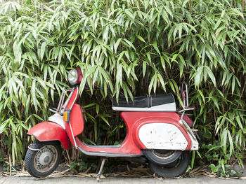 Motor scooter parked on field