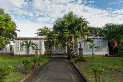 Footpath by palm trees and houses against sky