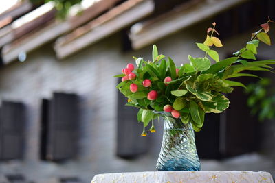 Close-up of flowering plant in vase