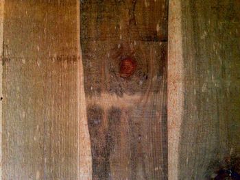 Close-up of wooden plank