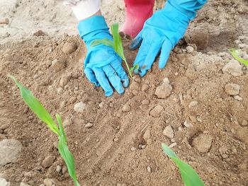 Low section of person wearing shoes on sand