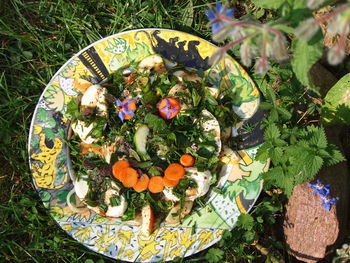 High angle view of fruits and plants in plate